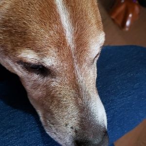 Meet your Posher, Paula